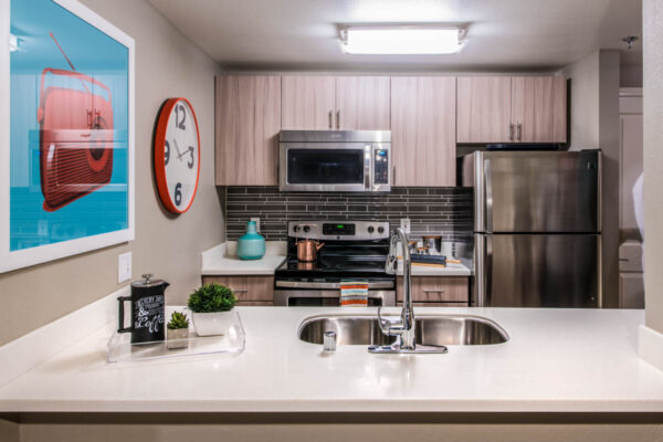 Apartment kitchen with stainless steel appliances, quartz countertops and wood-style flooring.