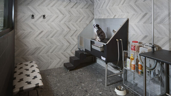 Apartment community Pet Washing Station at Griffis Cheesman Park in Denver, Colorado.