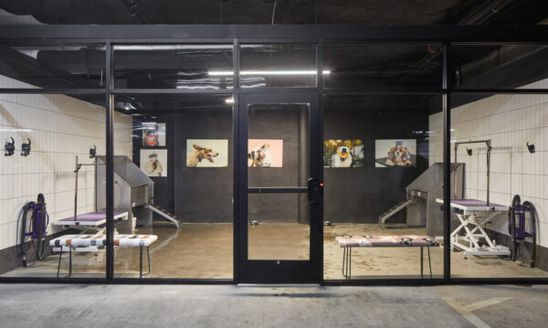 Griffis Lake Washington Pet Washing Station