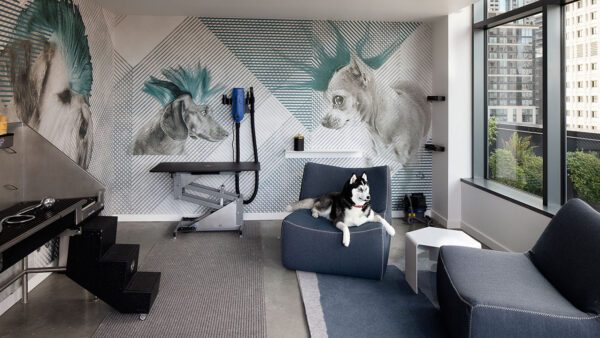 Apartment community Pet Spa at Griffis Seattle Waterfront in Seattle, Washington.