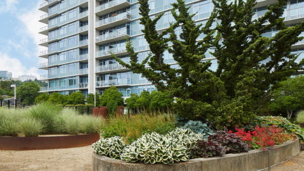 Eco Terrace