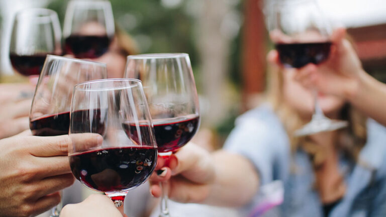 Six people making toast with wine glasses.