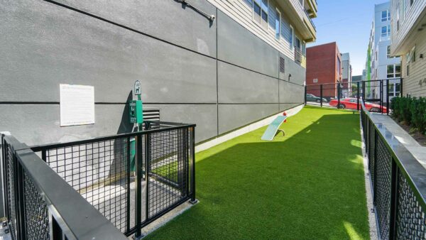 Apartment community off-leash dog park at Griffis Belltown in Seattle, Washington.