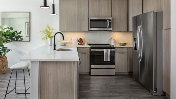 Apartment Kitchen with Stainless Steel Appliances, quartz counters and wood-like floors.