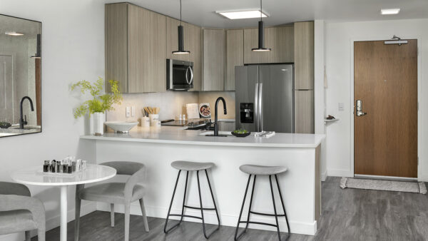 Apartment Kitchen with Stainless Steel Appliances, quartz counters and wood-like floors.