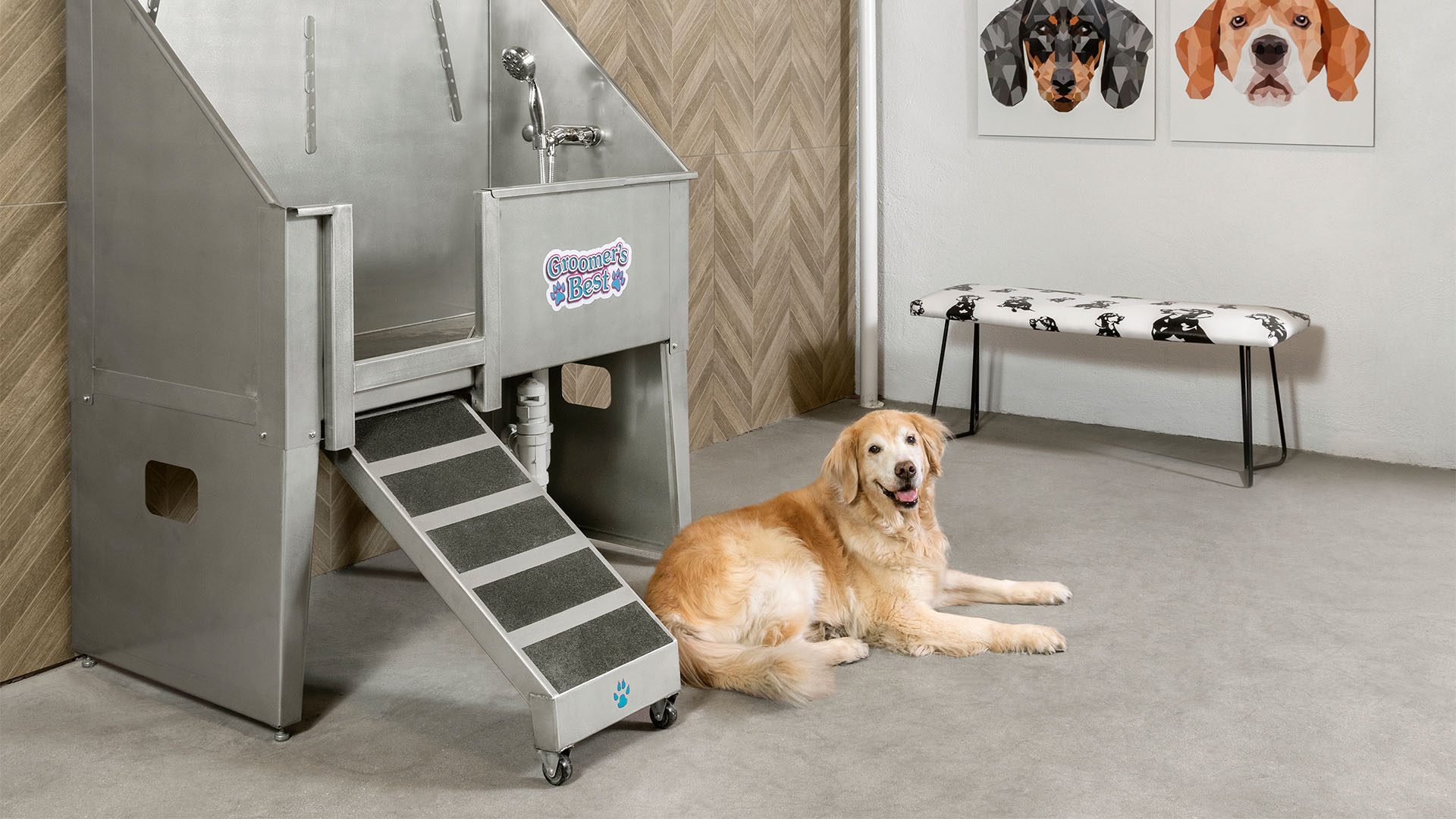 PetFriendly Apartments near Cherry Creek in Denver,CO Griffis Cherry