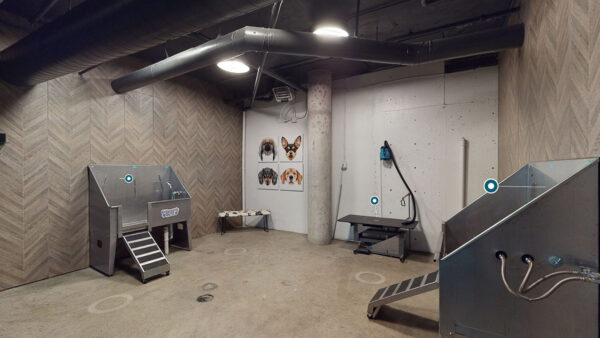 Virtual tour thumbnail for Griffis Cherry Creek pet wash.