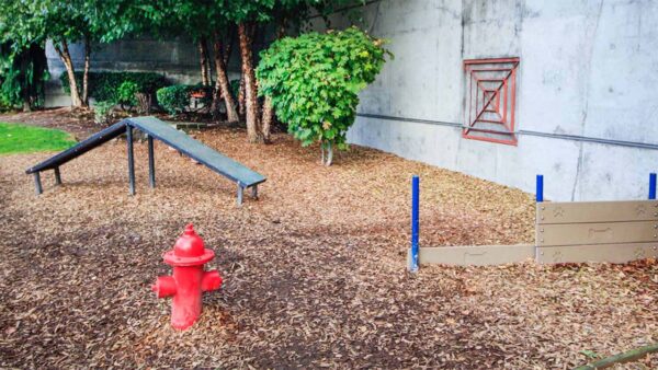 Apartment community off-leash dog park at Griffis Lake Washington in Renton, Washington.