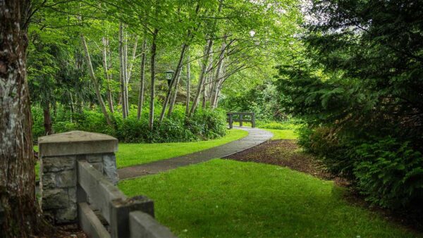 Exterior Grounds photo of Griffis North Creek in Bothell, Washington..