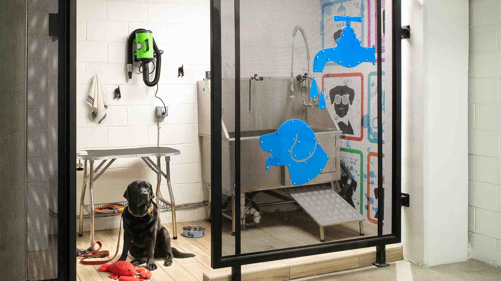 PetFriendly Apartments in Downtown Denver Griffis North Union