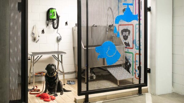 Apartment community pet washing station at Griffis North Union in Denver, Colorado.