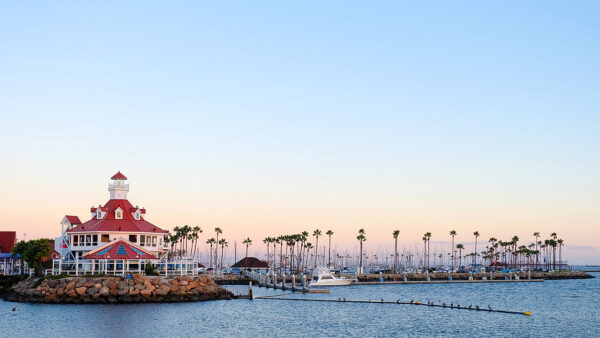 Shoreline Beach with marina and tall palm trees.