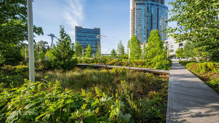 Lush landscaping at Elizabeth Caruthers Park in Portland, Oregon.