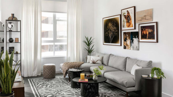 Apartment Living Room with Hard Wood Flooring.