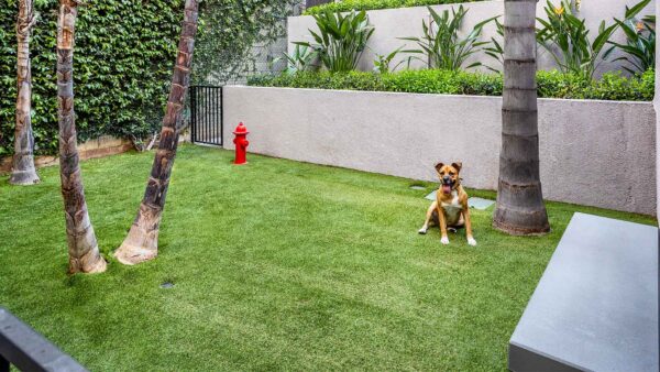 Apartment community off-leash dog park at Griffis Pine Ave in Long Beach, California.