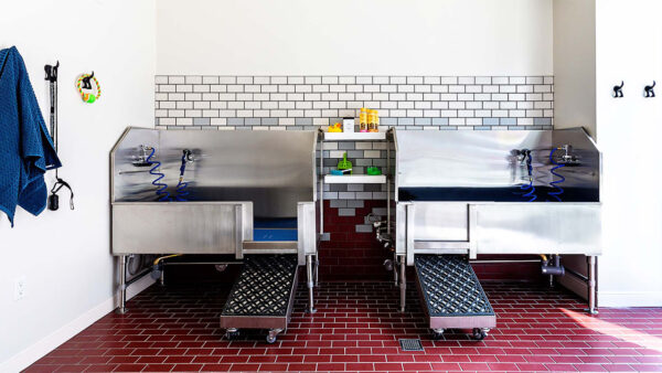 Apartment community pet washing station at Griffis Pine Ave in Long Beach, California.