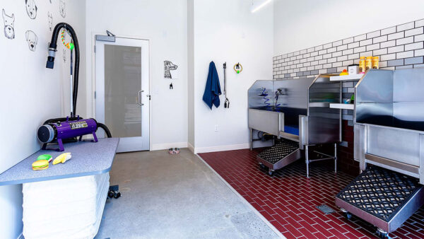 Apartment community pet washing station at Griffis Pine Ave in Long Beach, California.