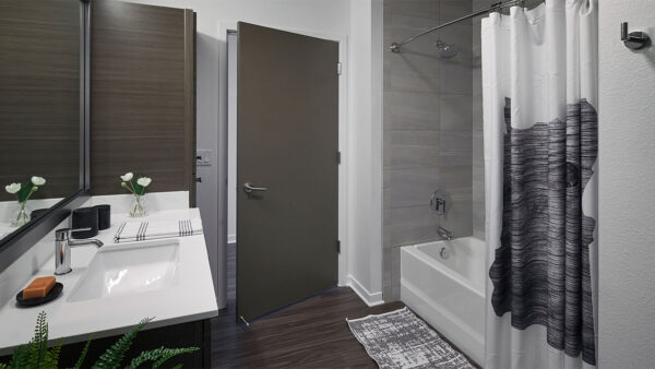 Apartment bathroom with wood-style flooring.