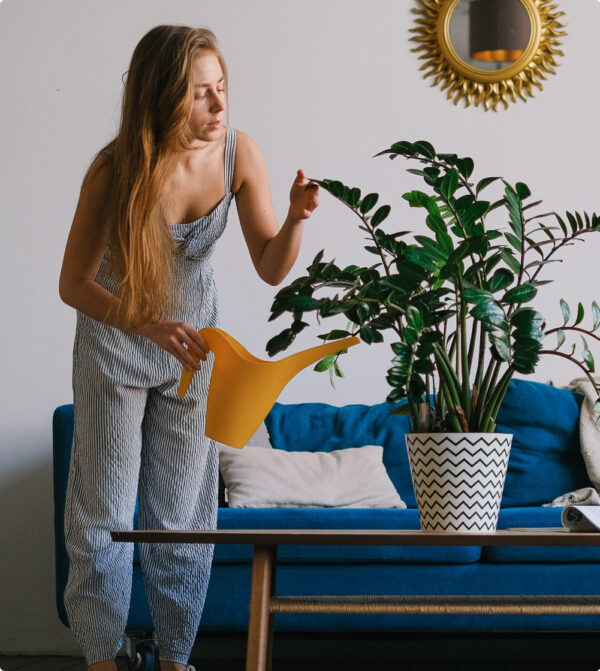 Person watering their apartment plant.