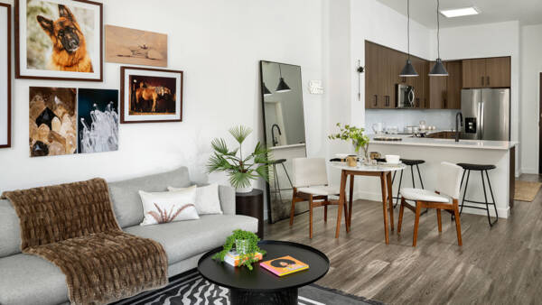 Griffis Cherry Creek North Living Room.