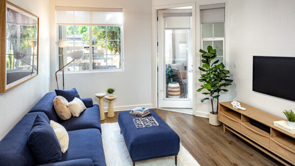 Apartment living room with wood-style flooring.