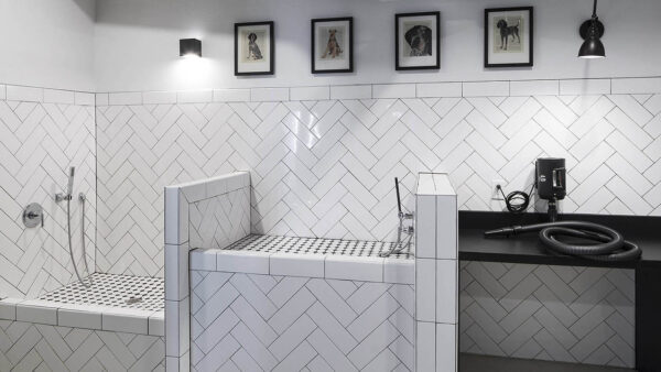 Pet wash with tile washing basins and dryer station.