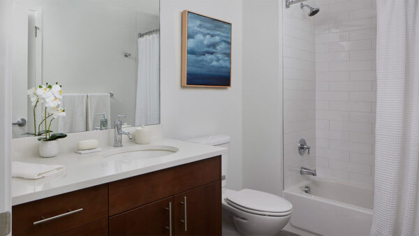 Apartment bathroom with wood-style flooring.