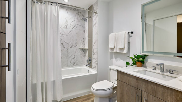 Apartment Bathroom with Wood Style Flooring