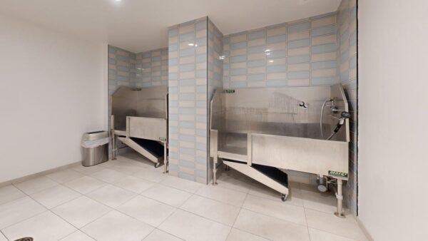 Griffis West Palm Pet Washing Station