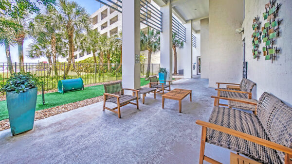 Pet Park Outdoor Lounge at Griffis North Olive