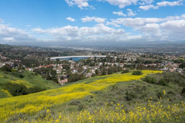 Aerial view of Anaheim hills covered in yellow wildflowers overlooking the city.