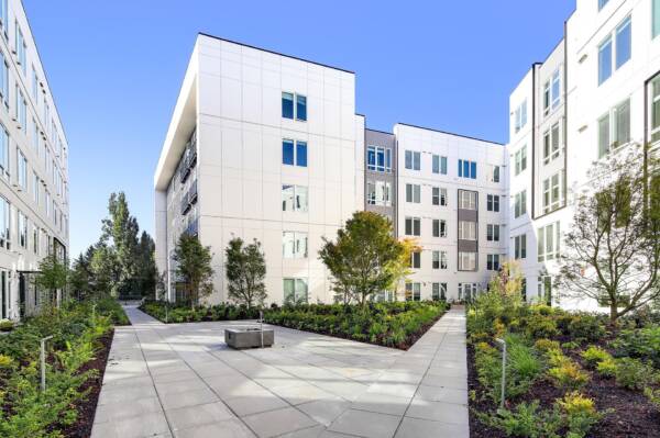 Griffis Shoreline landscaped courtyard walkway between modern apartment buildings.