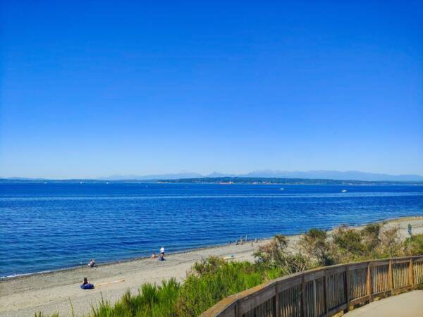 Puget Sound beach and shoreline on a clear, sunny day.