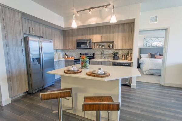 Apartment kitchen with wood style floor and stainless steel appliances.