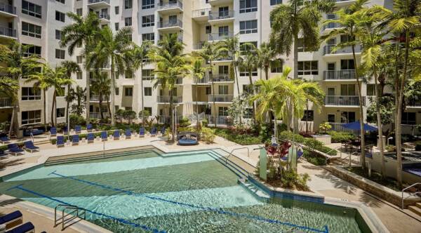 Pool area with palm trees at Griffis North Olive.