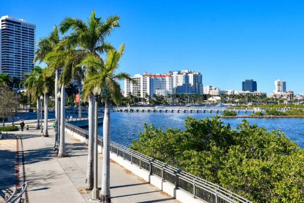 Palm tree lined walkway in West Palm Beach, Florida.