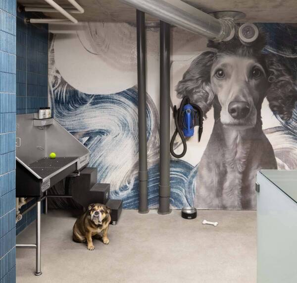 Griffis Platform Union Station pet spa with grooming station and dog mural