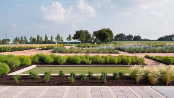 Griffis at The Domain community exterior green space.