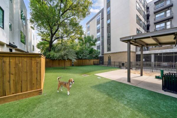 Griffis Oak Lawn apartment community dog park in Dallas, TX.