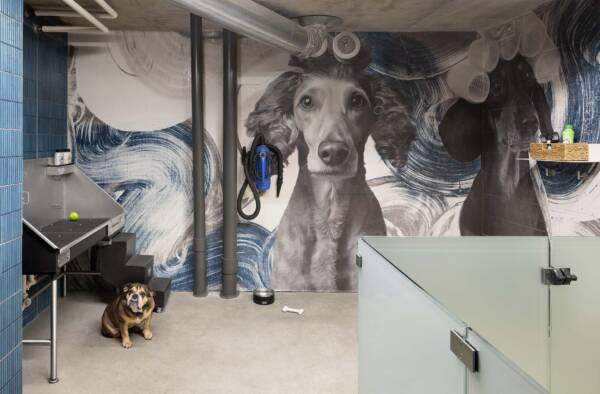 Apartment community pet spa at Griffis Platform Union Station in Denver, CO