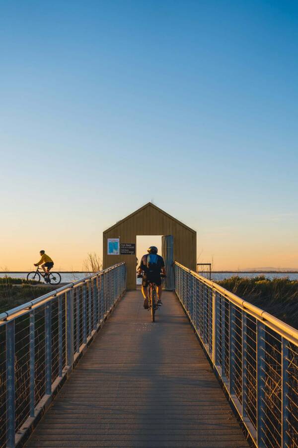 People biking at dusk along the coast.